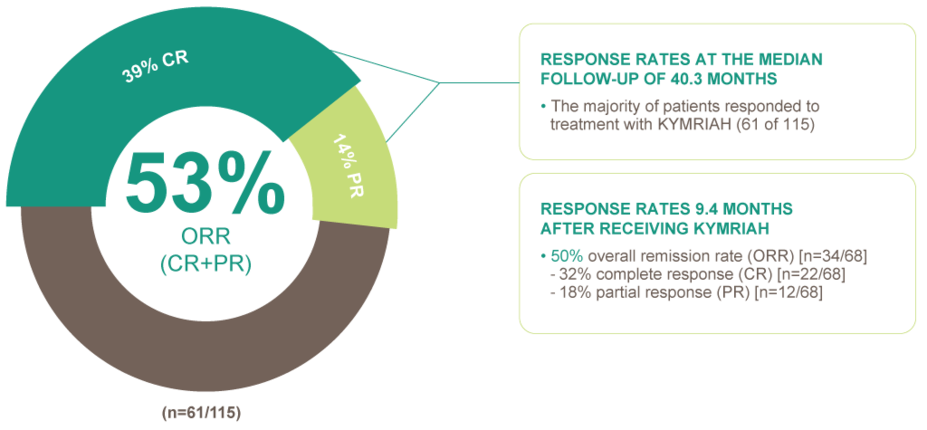 Overall response rate and duration of response graphic