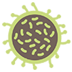 Cancerous B cell