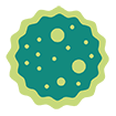 A human T cell (also called a T lymphocyte)
